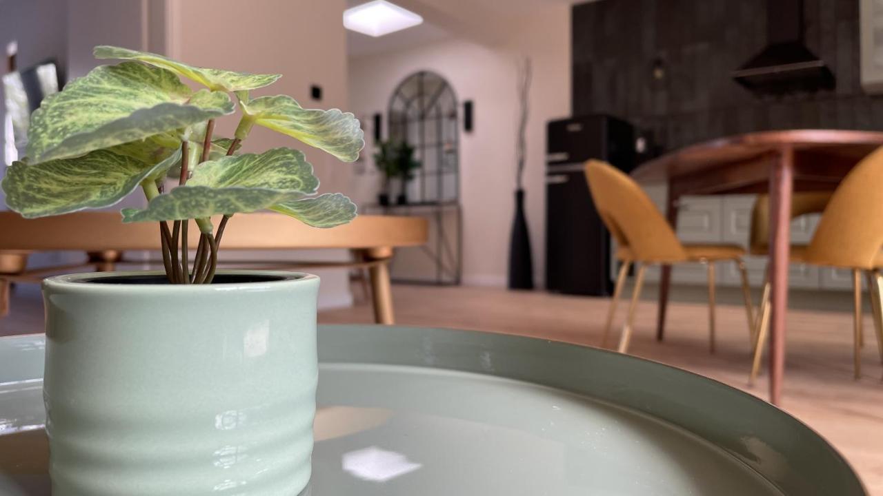 Malis-Ferienhaus Bad Harzburg Extérieur photo